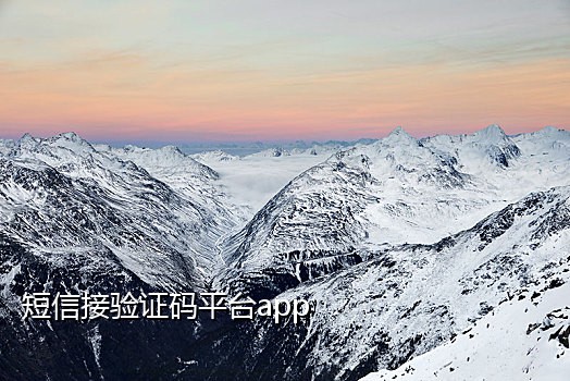 接码平台能发短信吗