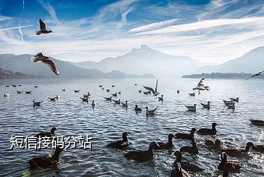 接码平台绑定微信