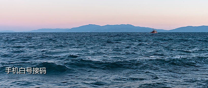 接码平台百度贴吧