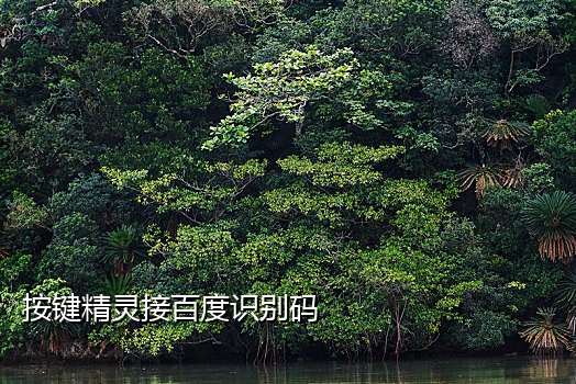 接码批量注册微信