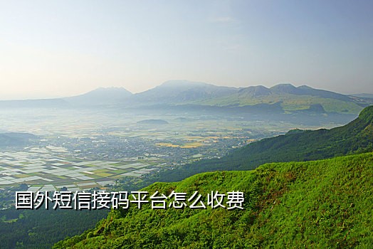 接码短信验证码平台app蓝鸟