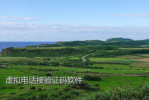 接码的手机模拟器