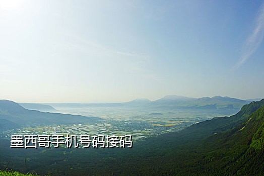 接码 淘宝客