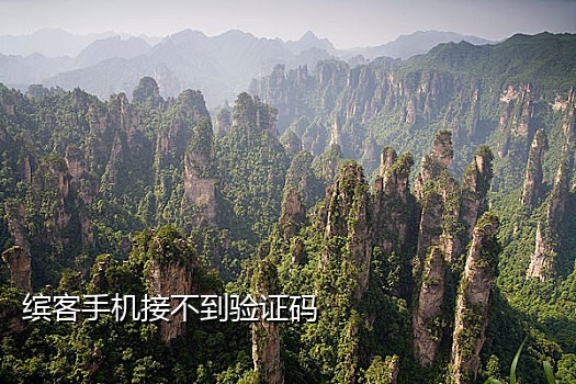 接国外手机验证码网站