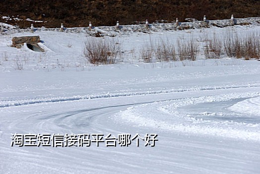 接短信验证码工具怎么用