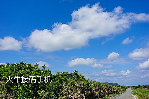 卡接码手机版