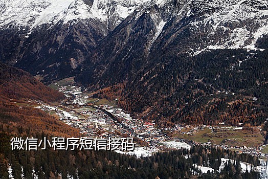 江苏欢娱解绑手机接码平台
