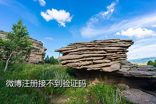 河北手机号接码
