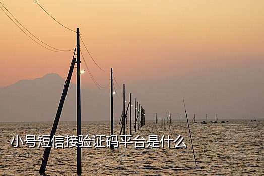 还能发短信的接码平台