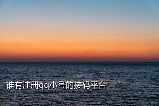国内接短信验证码的平台