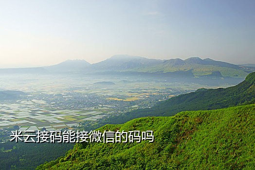 短租接码手机版下载