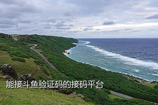 在线云短信接码平台