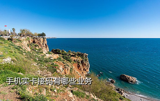 短信接码免费软件下载