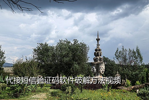 短信接码麦当劳