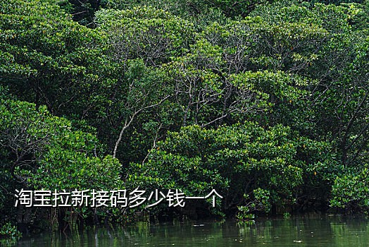 抖音注册接码什么意思