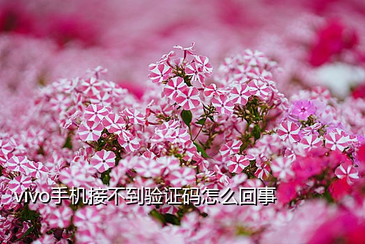 抖音快手接码平台