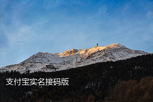 抖音接验证码多少钱一条