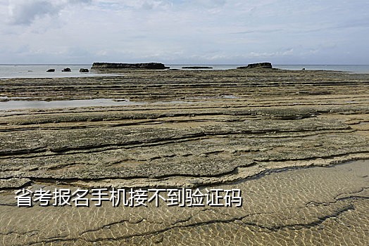 抖音短信接码