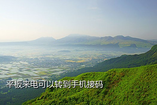 点淘接码短信