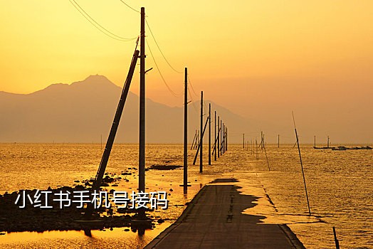哔哩哔哩接码注册不了