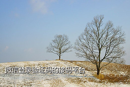 比心注册接码