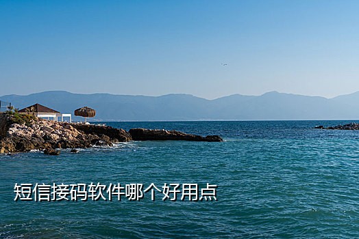 斑马接码手机app