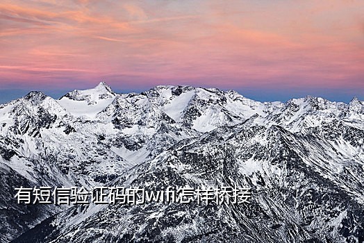 百度地图接码平台