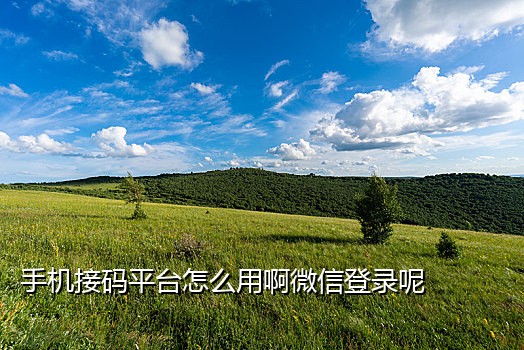 巴拿马国外手机号接码