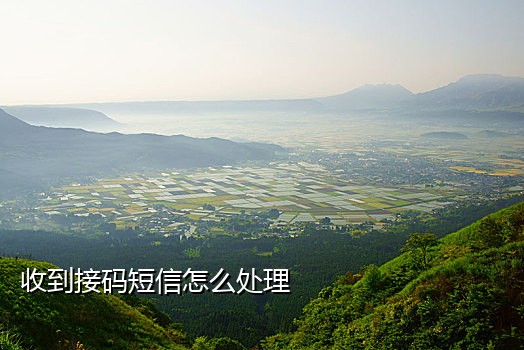 在线免费短信验证码接码