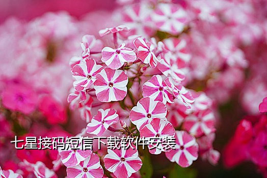 爱奇艺会员注册接码
