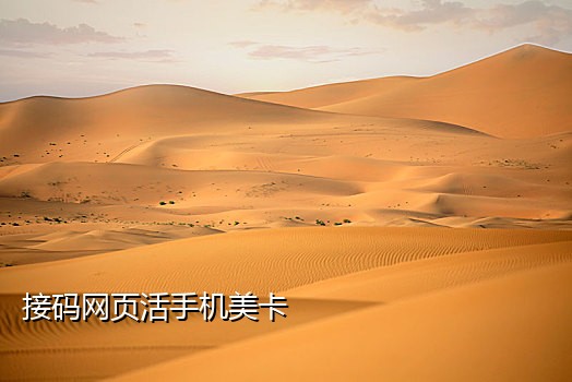 在线临时手机号接码安卓版