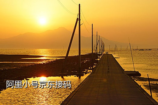 今日头条极速版接码登录