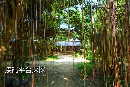 qq小号接码直登