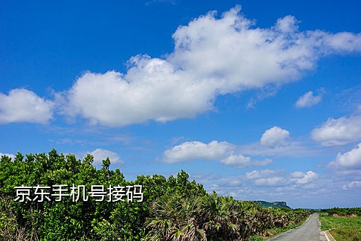 2020年短信接码平台