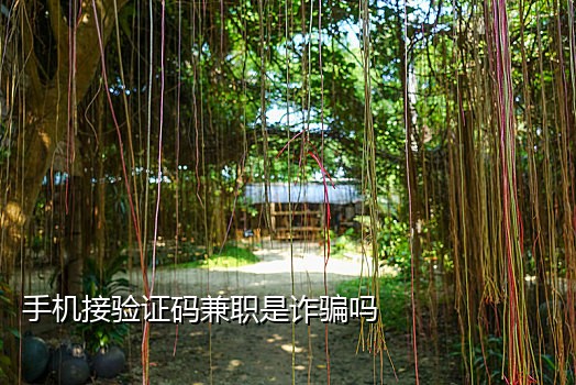 2020京东接码微信群
