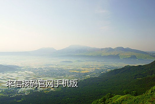 注销的手机号怎么接验证码