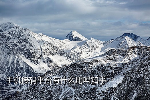 注册微信接码网站