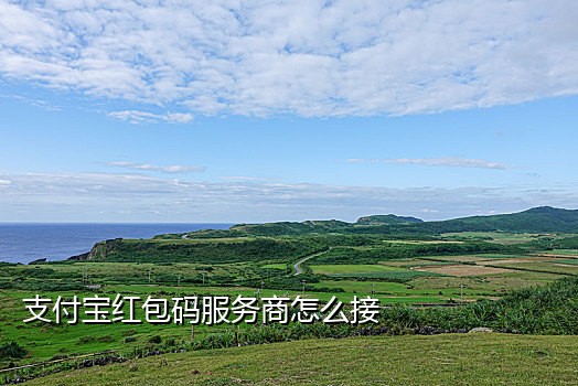 注册淘宝号接码平台