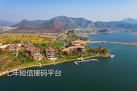 最大的手机接码平台