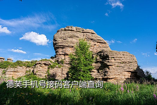 知乎最新可用接码平台