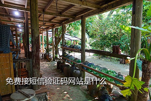 支付宝二次接码平台