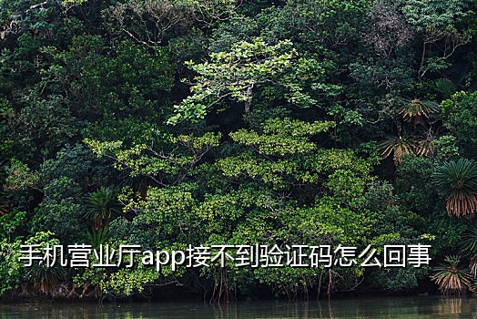 支持微信的接码网站