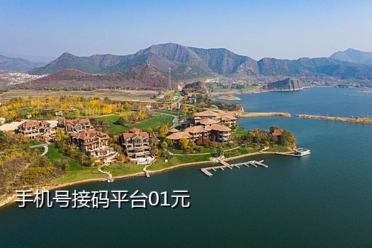 在线接收短信免费接码