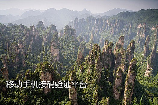 在线接码平台上虚拟手机号