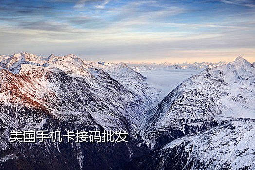 伊对接码平台
