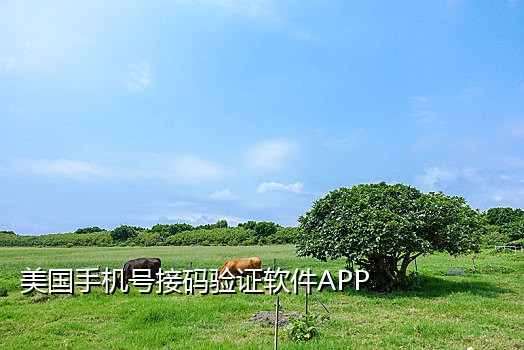 验证码软件平台接短信