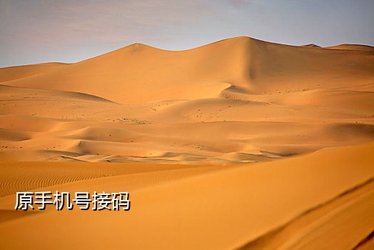 小白接码短信平台