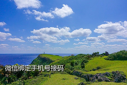 闲鱼号接码