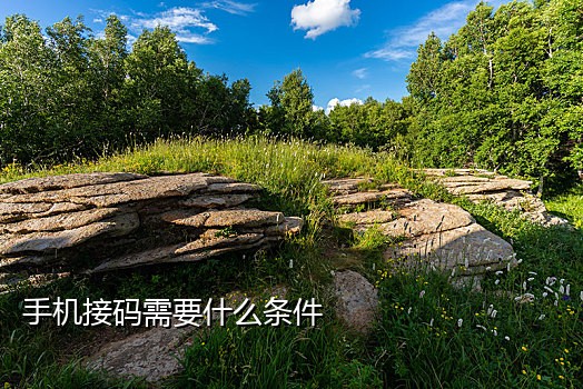 微信账号接码注册平台吗