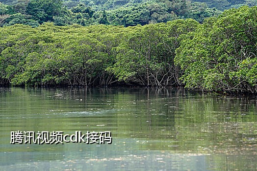 微信改绑接码平台